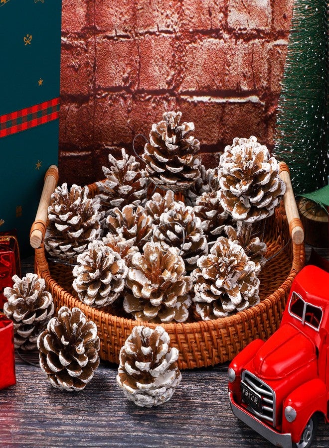 Fovths 30 Pieces 2 Size Christmas Pine Cones with String Mini Rustic Pinecones Bulk Ornaments for Xmas Tree Crafts Holiday Home Hanging Ornament Party Favor Fireplace Table Centerpiece, White - Image 4